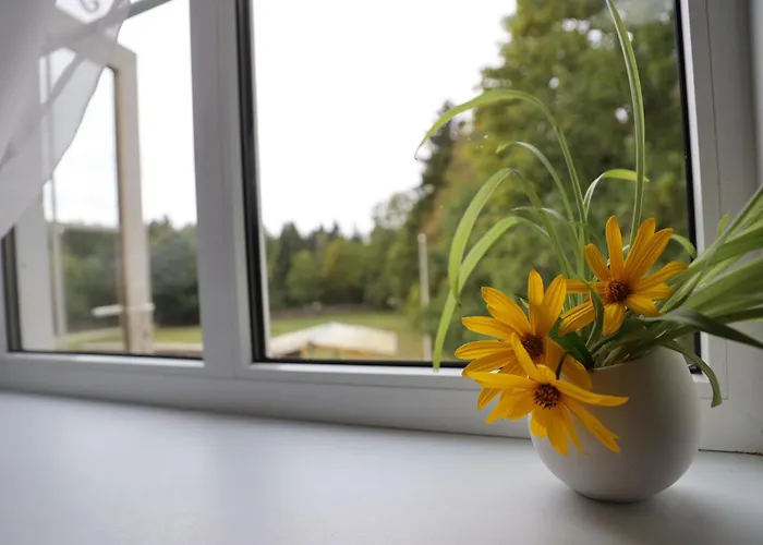 Kuelalistemaja Marta-lovise Motel Kipi